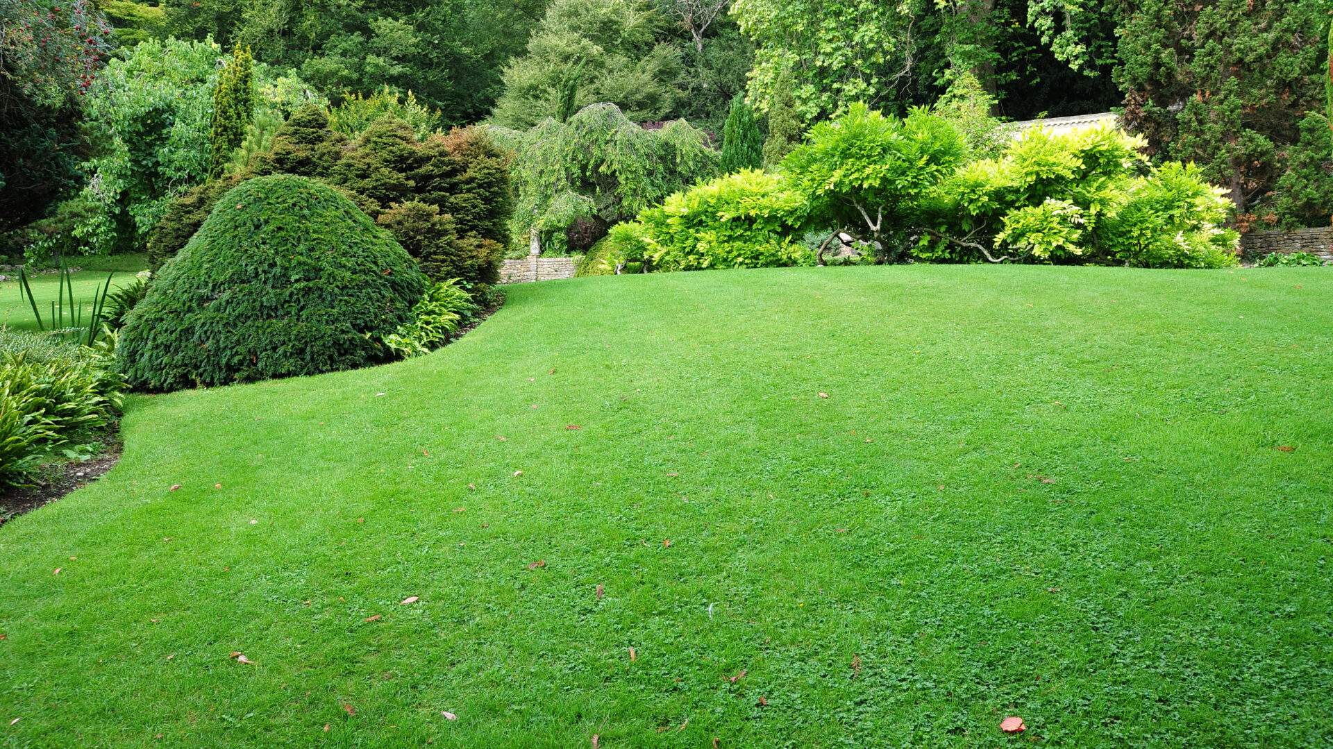 Peaceful,Garden,With,A,Freshly,Mown,Lawn